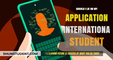 International Students: Lying on Applications, Good or Bad?