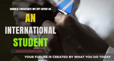 Negotiating OPT Offers: An International Student's Guide