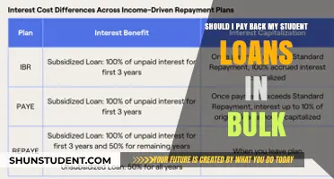 Should You Pay Back Student Loans in Bulk? Pros and Cons
