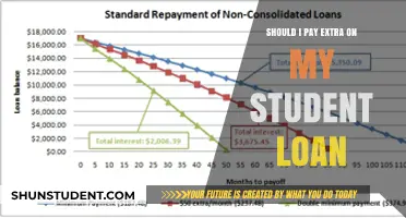 Should You Pay Extra on Your Student Loan? Pros and Cons