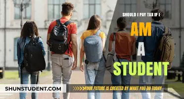 Student Tax Obligations: Do You Need to Pay Taxes While Studying?