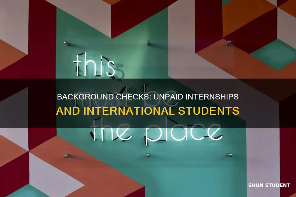 should i put unpaid internships in background check international student