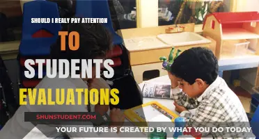 Should Student Evaluations Shape Your Teaching Approach? A Critical Look