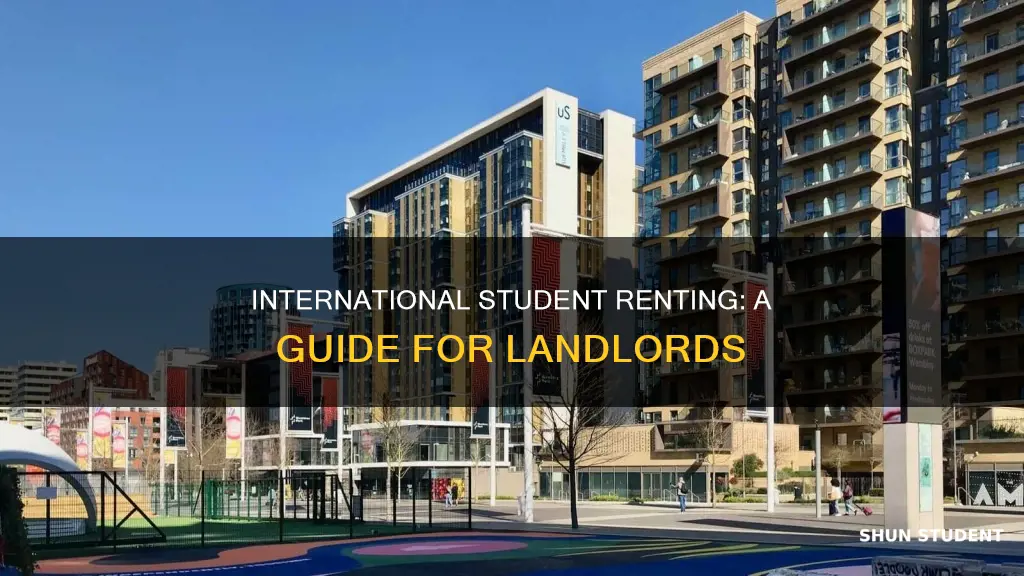 should i rent to international students