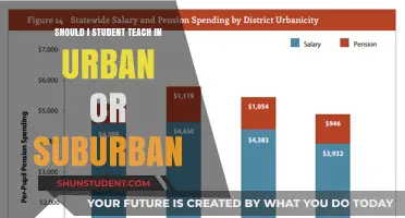 Urban vs. Suburban Student Teaching: Which Environment Fits You Best?