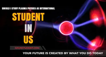 Plasma Physics: An International Student's Guide to Studying in the US