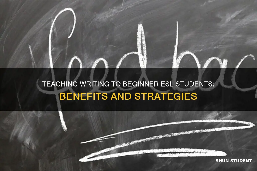 should i teach writing to my beginning esl students
