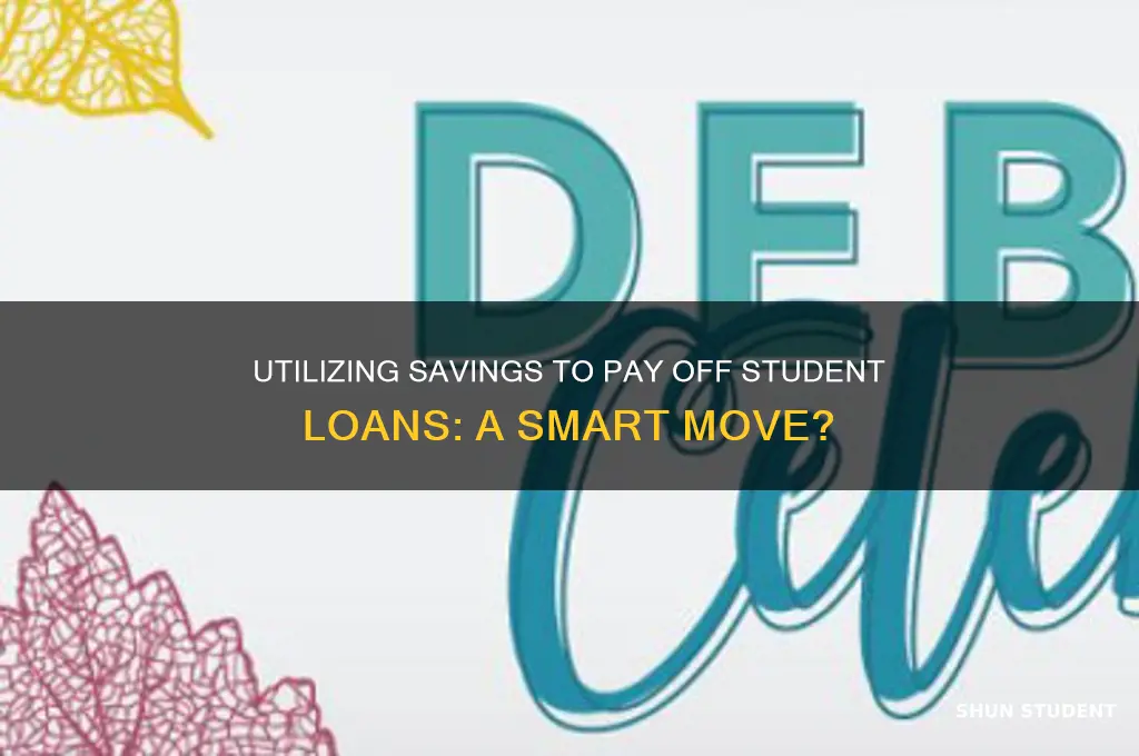 should i use my savings to pay off student loans
