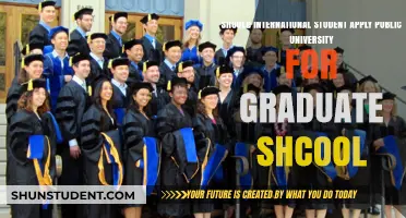 International Students: Public Grad School Options