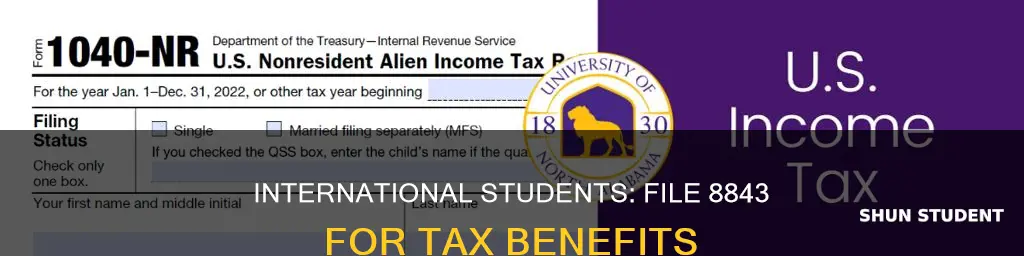 should international student file 8843