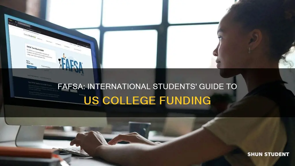 should international student file fafsa