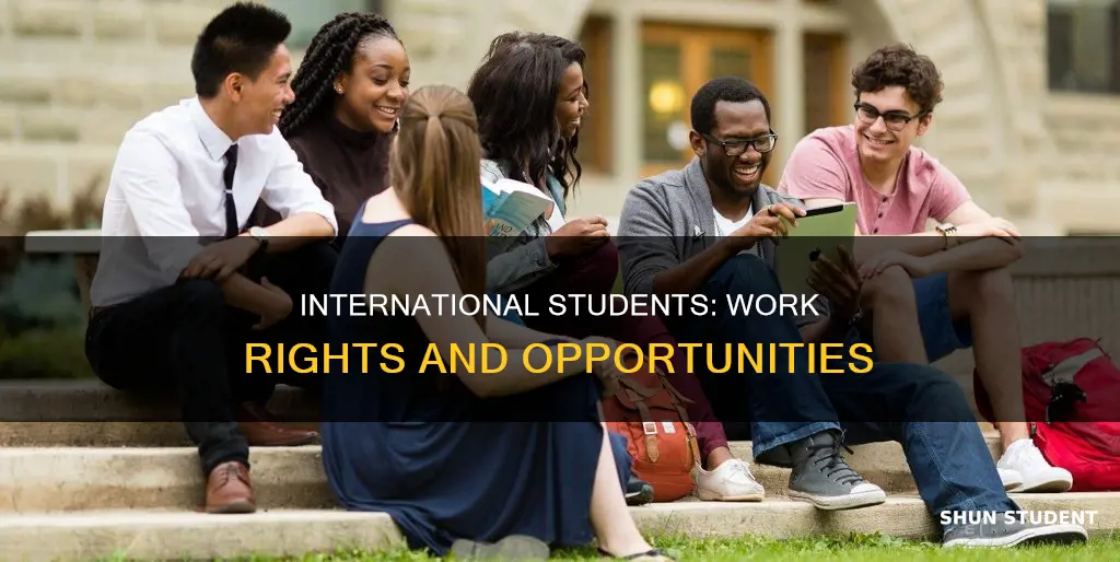 should international students be allowed to work