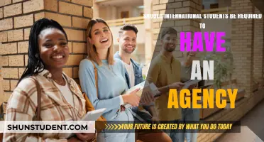 International Students: Navigating University Life with an Agency