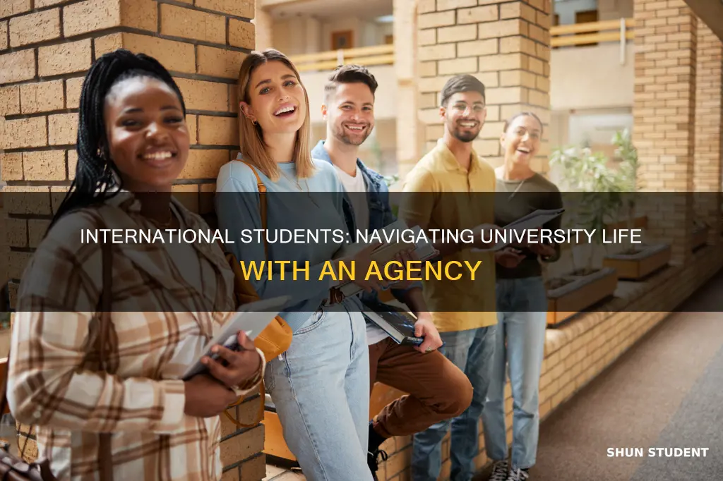 should international students be required to have an agency
