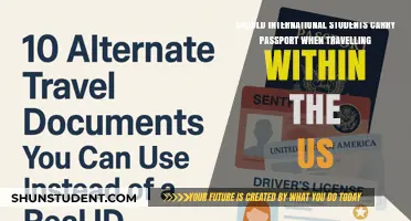 Traveling within the US: Passport requirements for international students
