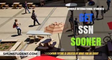 International Students: SSN Access and Opportunities