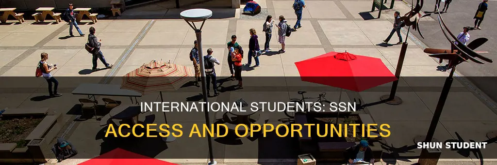 should international students get ssn sooner