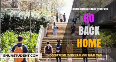 The Benefits of Returning Home as an International Student