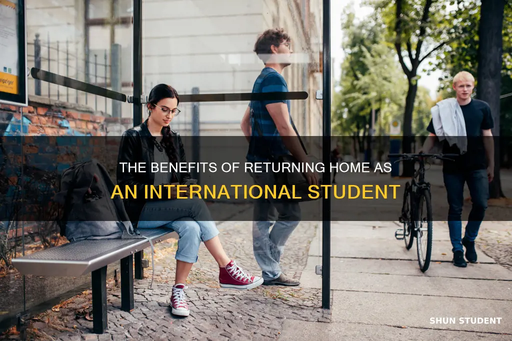 should international students go back home
