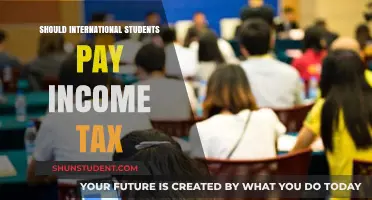 International Students and Income Tax: Who Pays?