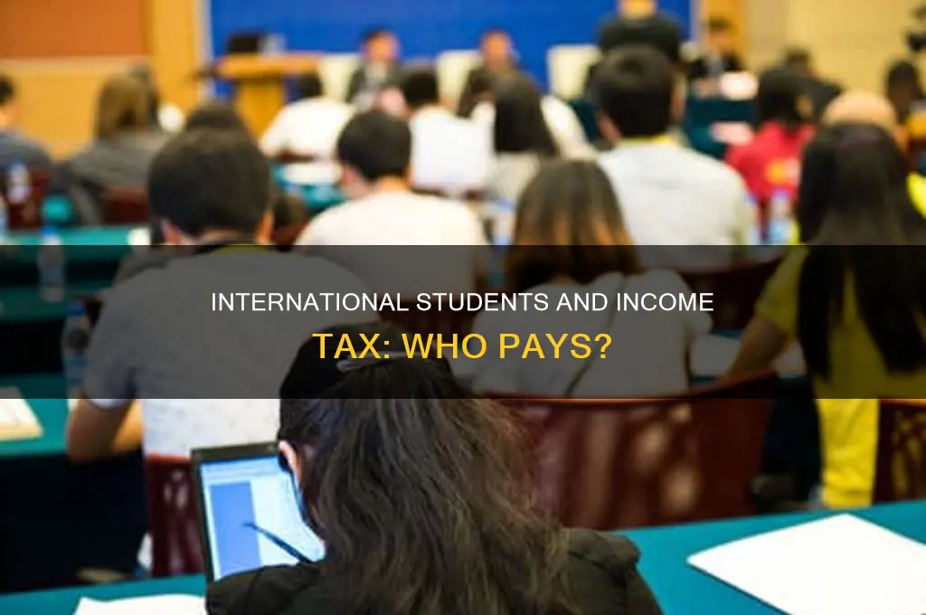 should international students pay income tax