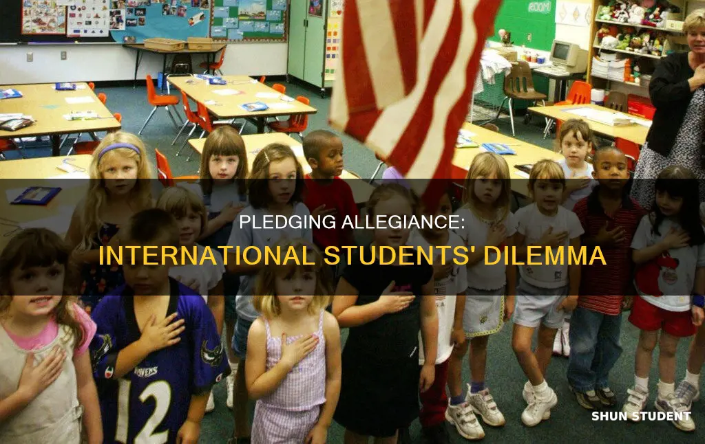 should international students pledge allegiance