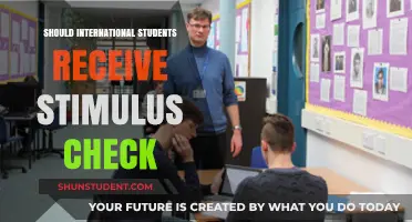 Stimulus Checks: International Students' Exclusion Explored