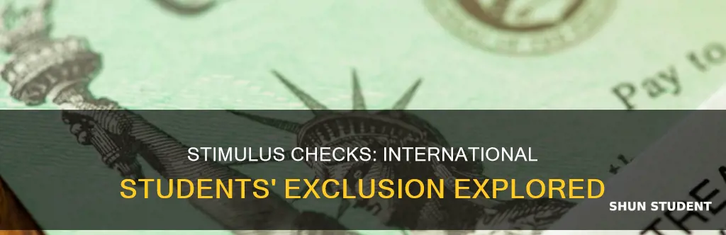 should international students receive stimulus check