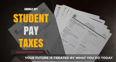 Opt Students: Tax Exempt or Not?