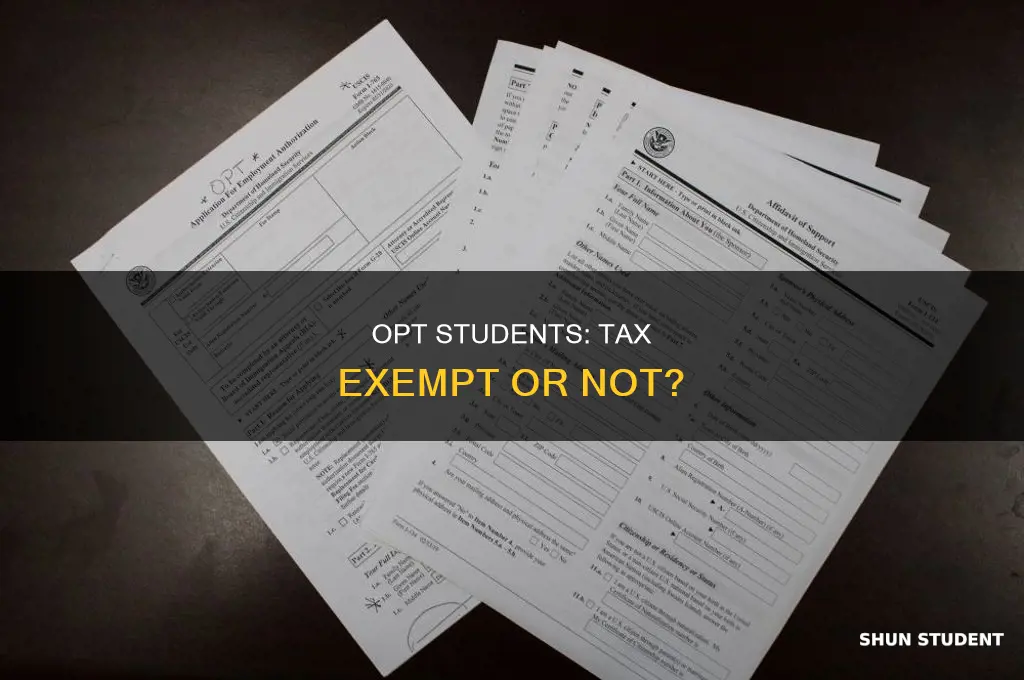 should opt student pay taxes