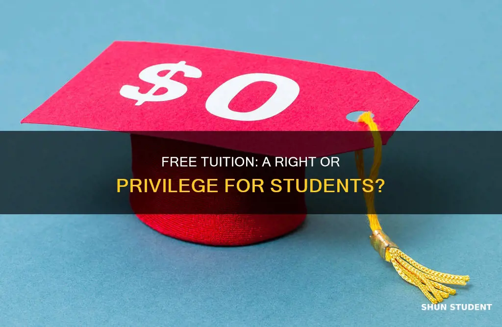 should students be able to attend public universities for free