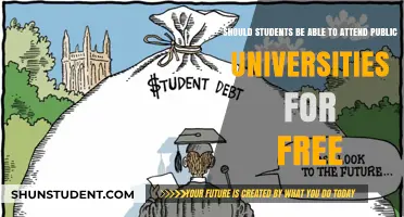 The Right to Education: Free Public Universities?
