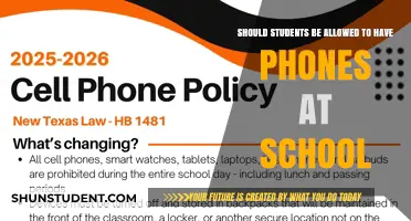 Balancing Connectivity and Focus: The Debate on Phones in Schools