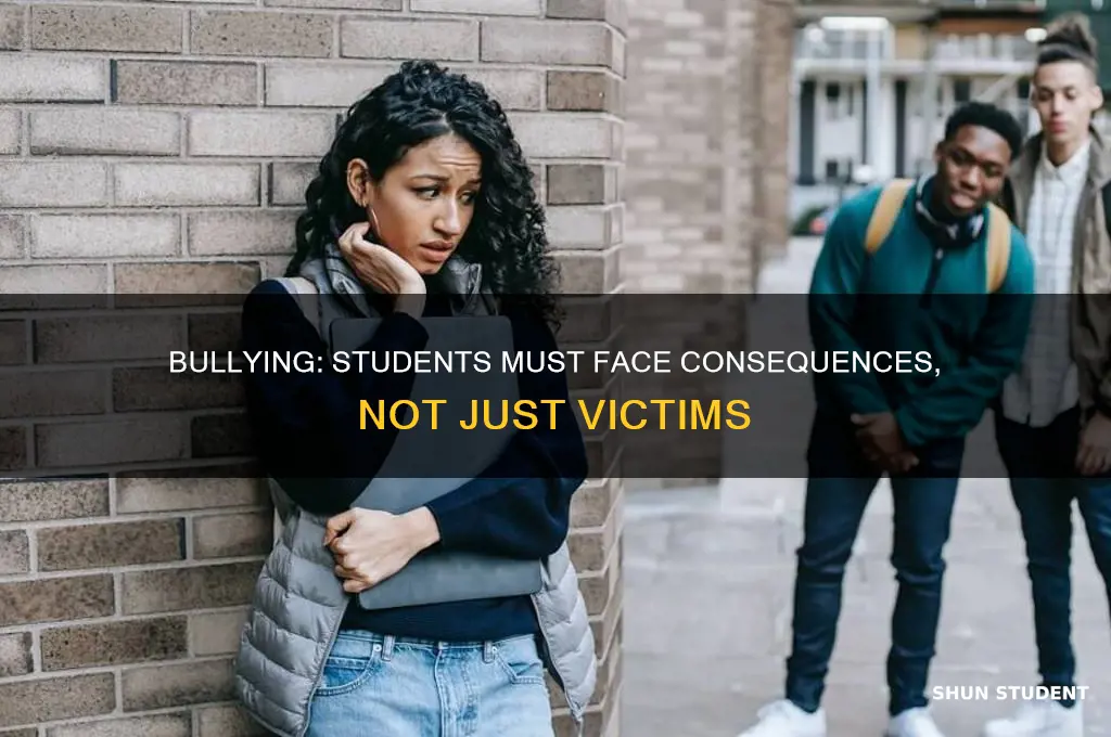 should students have to pay for bullying people
