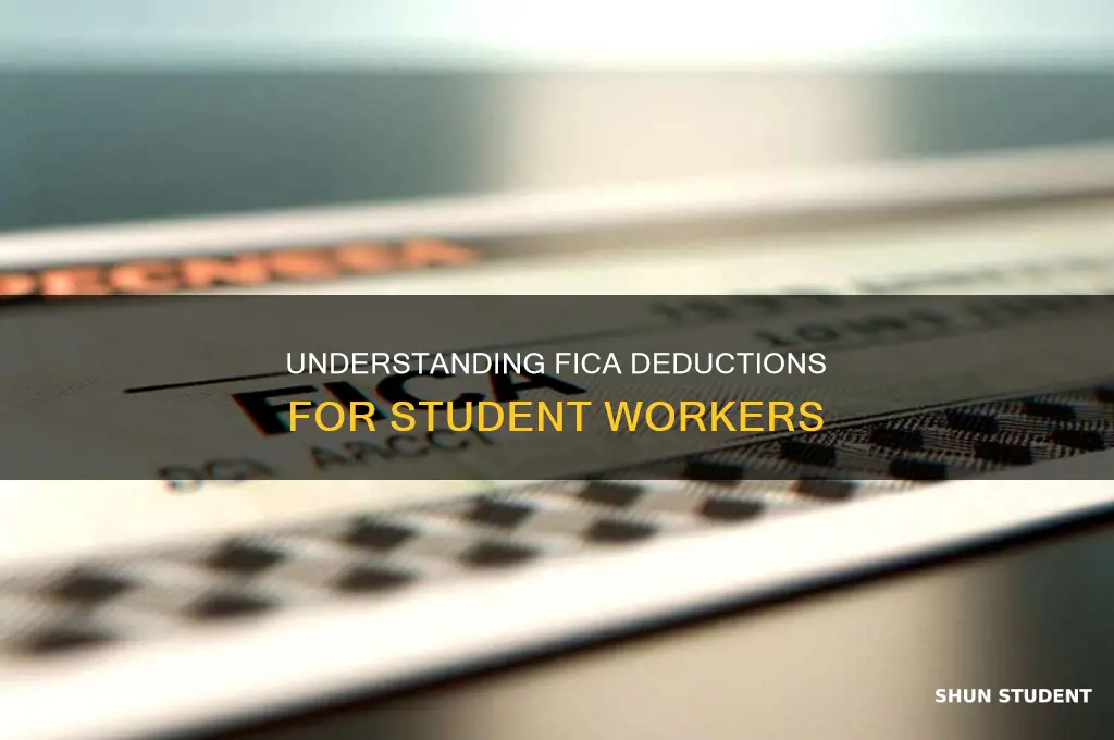 should students pay fica