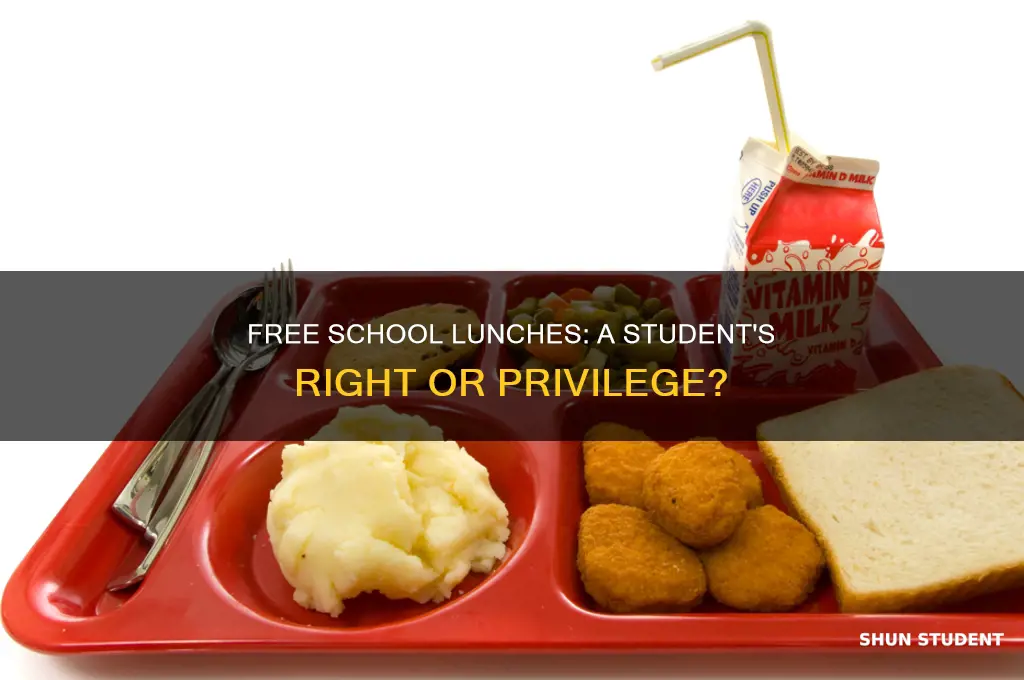 should students pay for lunch