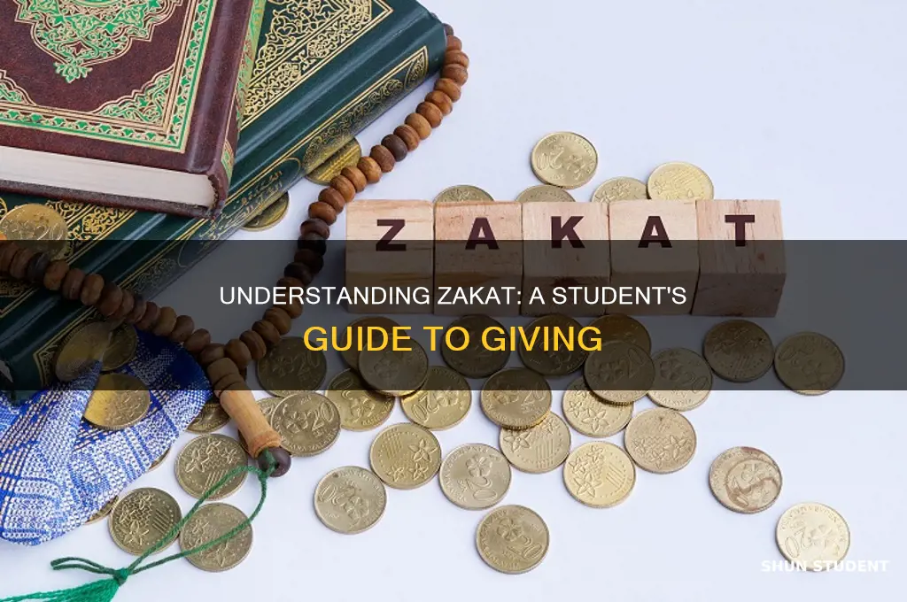 should students pay zakat