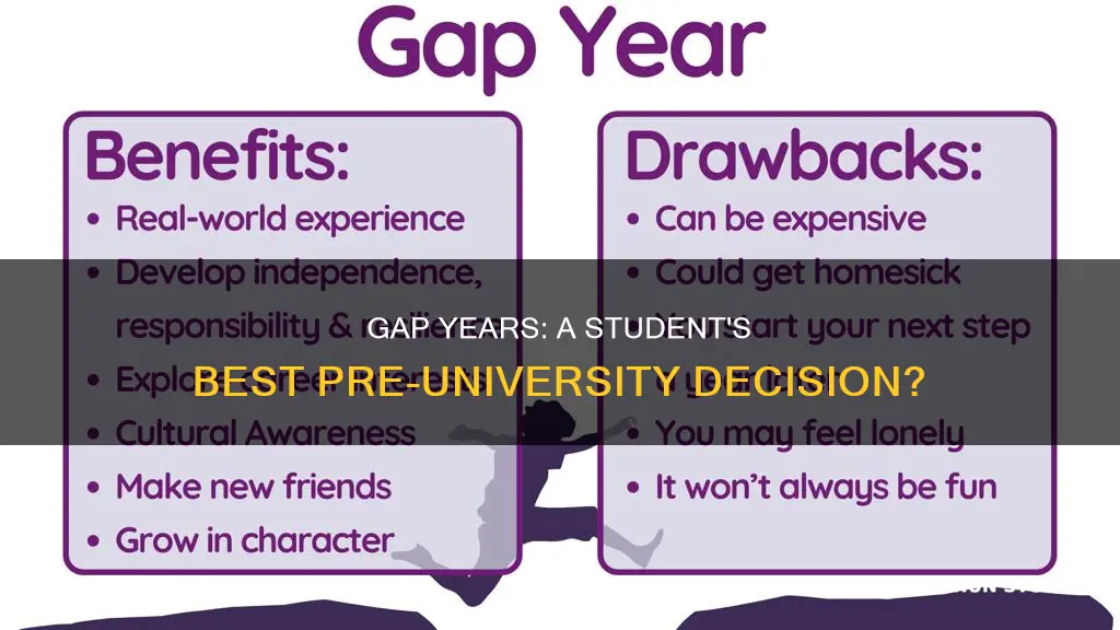 should students take a gap year before entering university