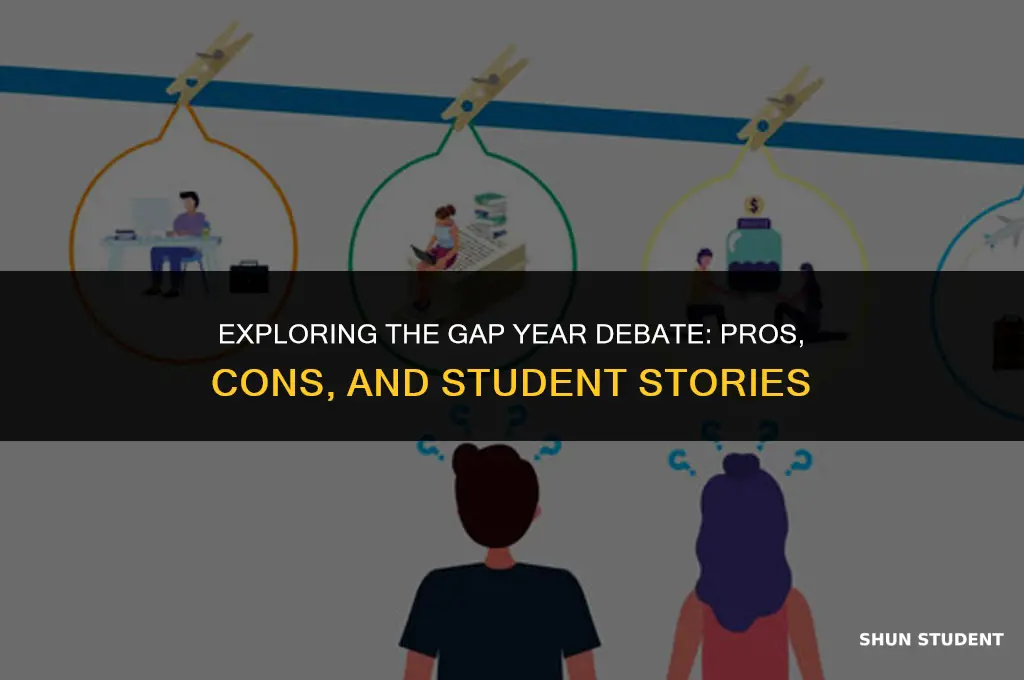 should students take a gap year debate org