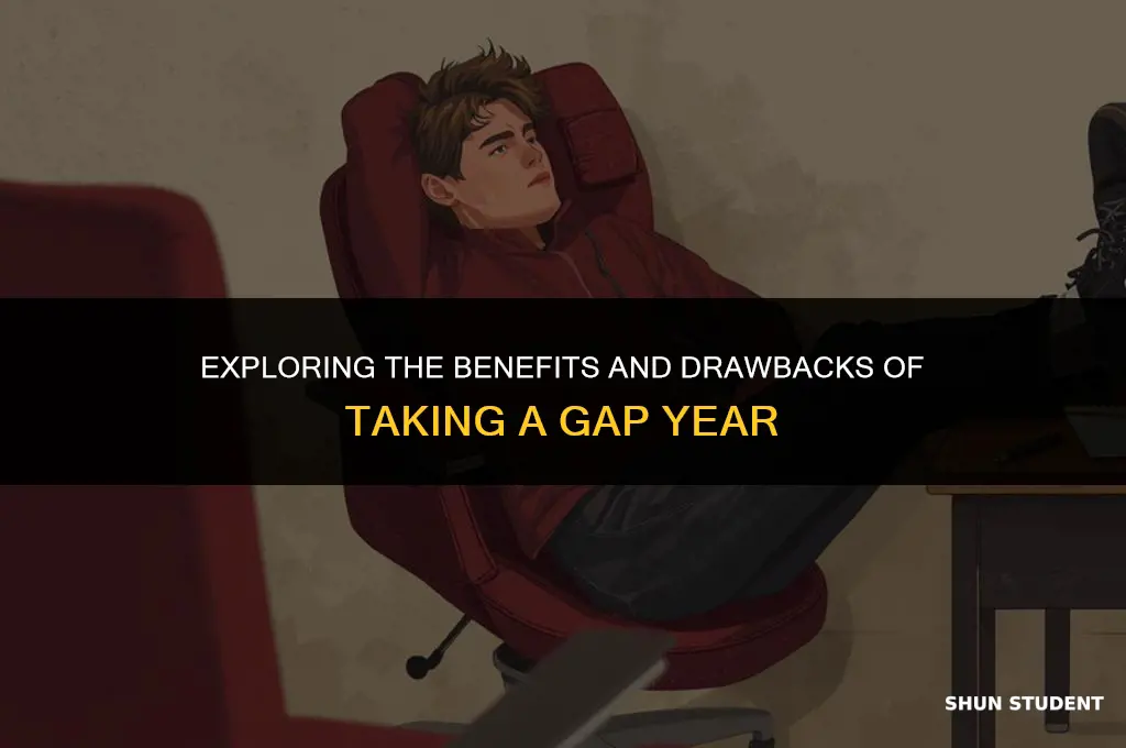 should students take a gap year essay