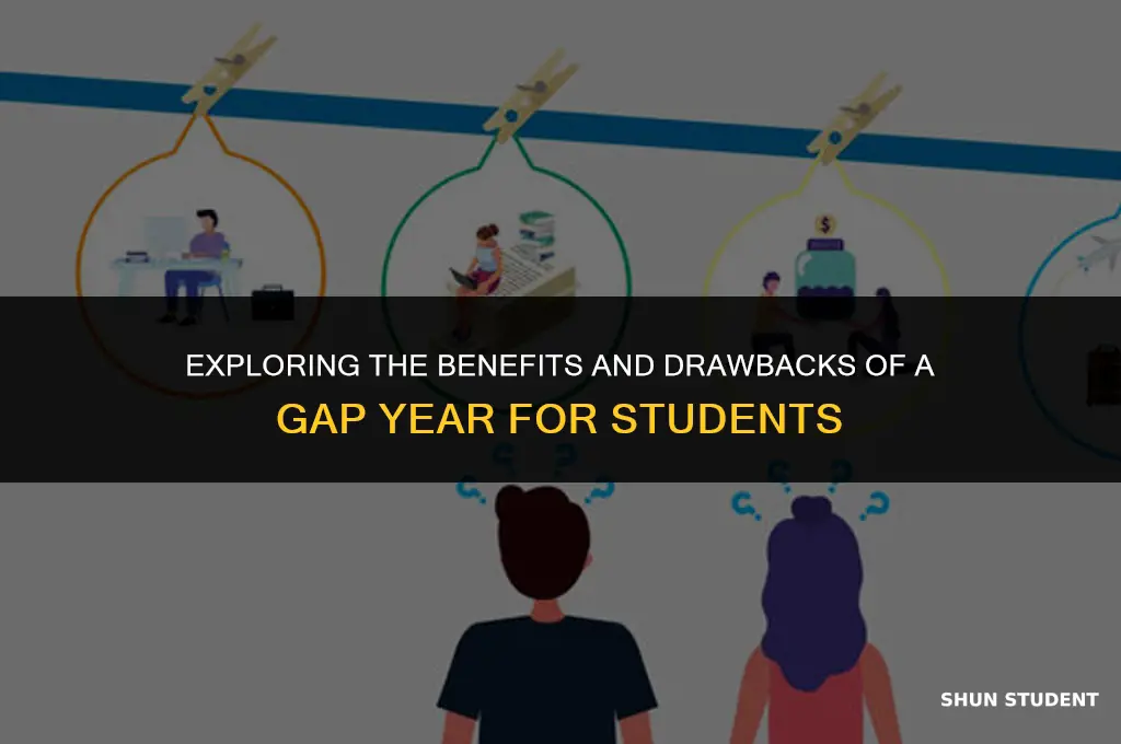 should students take a gap year r h edu