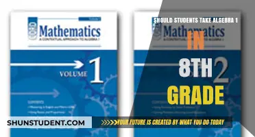 Exploring the Benefits and Challenges of 8th Graders Taking Algebra 1