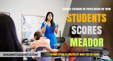 Paying Teachers Based on Scores: A Fair Deal?