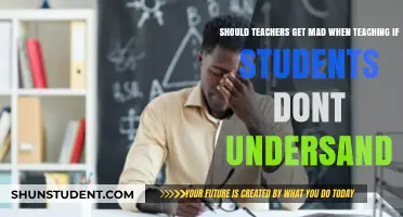 Teachers' Frustration: Should They Show Anger When Students Struggle to Understand?