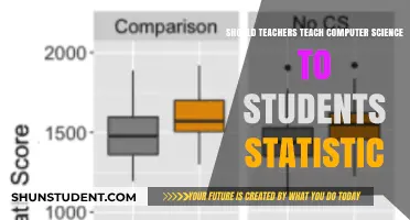 Empowering Educators: Should Teachers Integrate Computer Science into Statistics Curriculum?