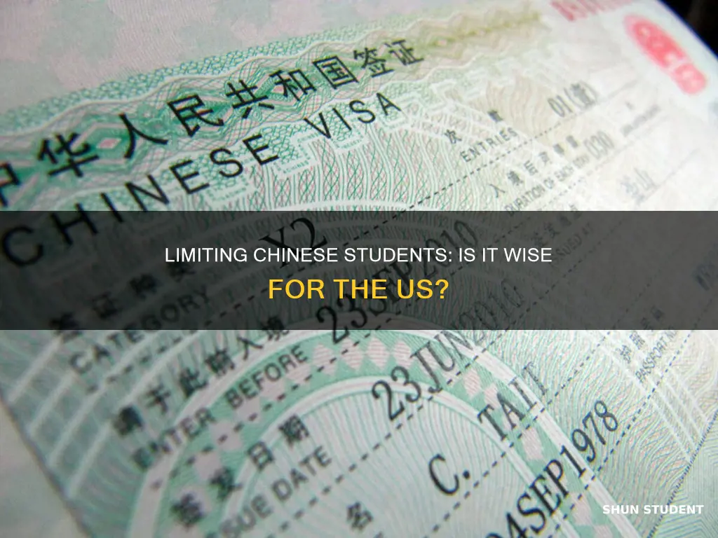 should the us limit visas for international students from china