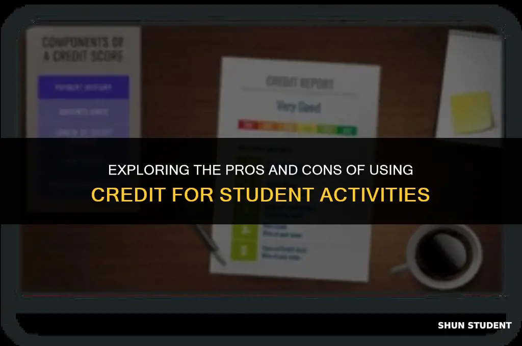 should they use credit student activity 4-1 answers