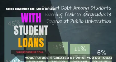 Should Universities Share the Risk of Student Debt?