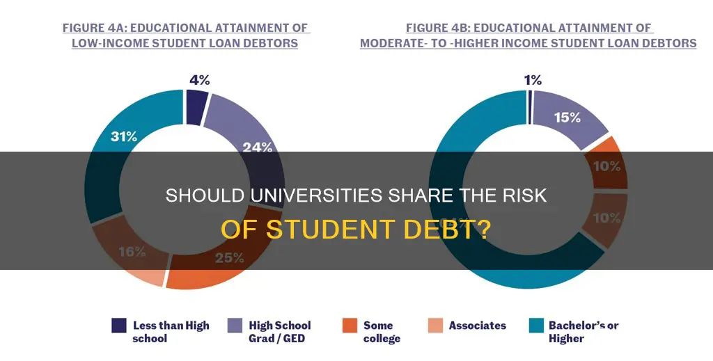 should universities have skin in the game with student loans