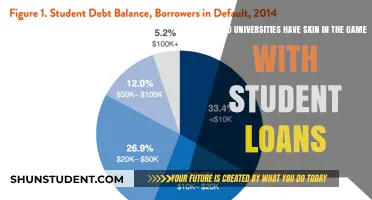 Universities' Accountability in Student Loan Crisis